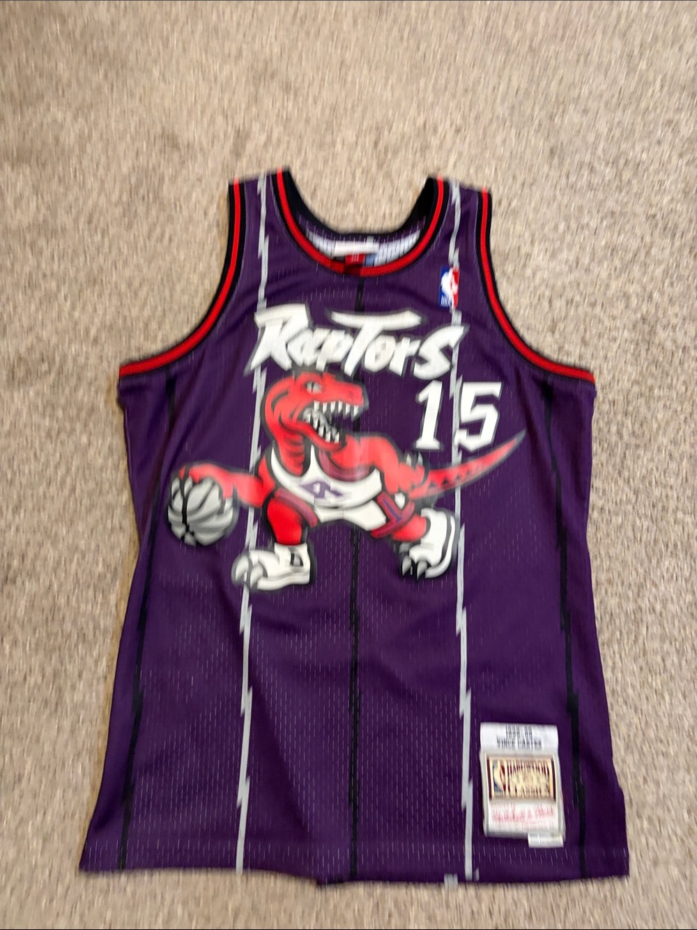 Mitchell & Ness Purple Toronto Raptors #15 Kids Jersey with Red & White Accents